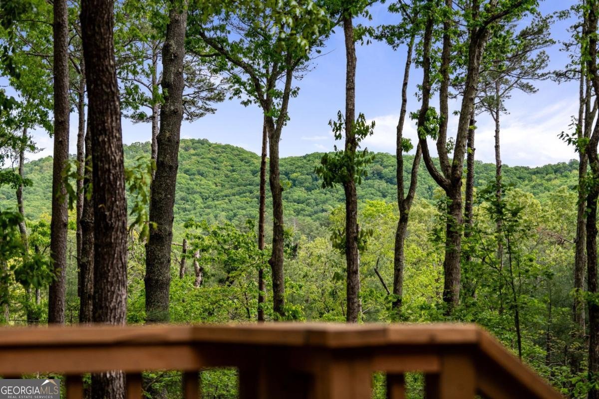 245 Old Anderson Creek Ellijay - Photo 54