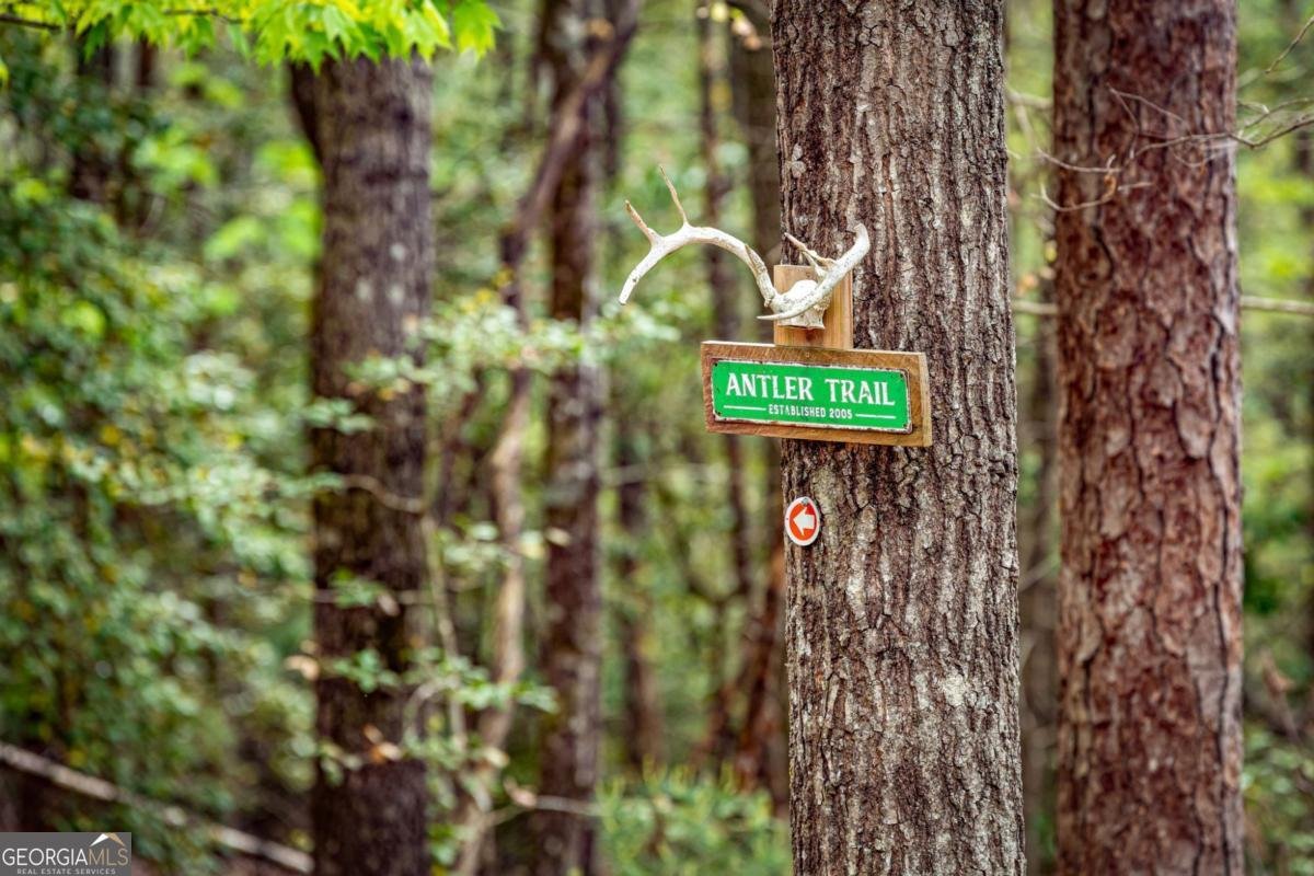 245 Old Anderson Creek Ellijay - Photo 56