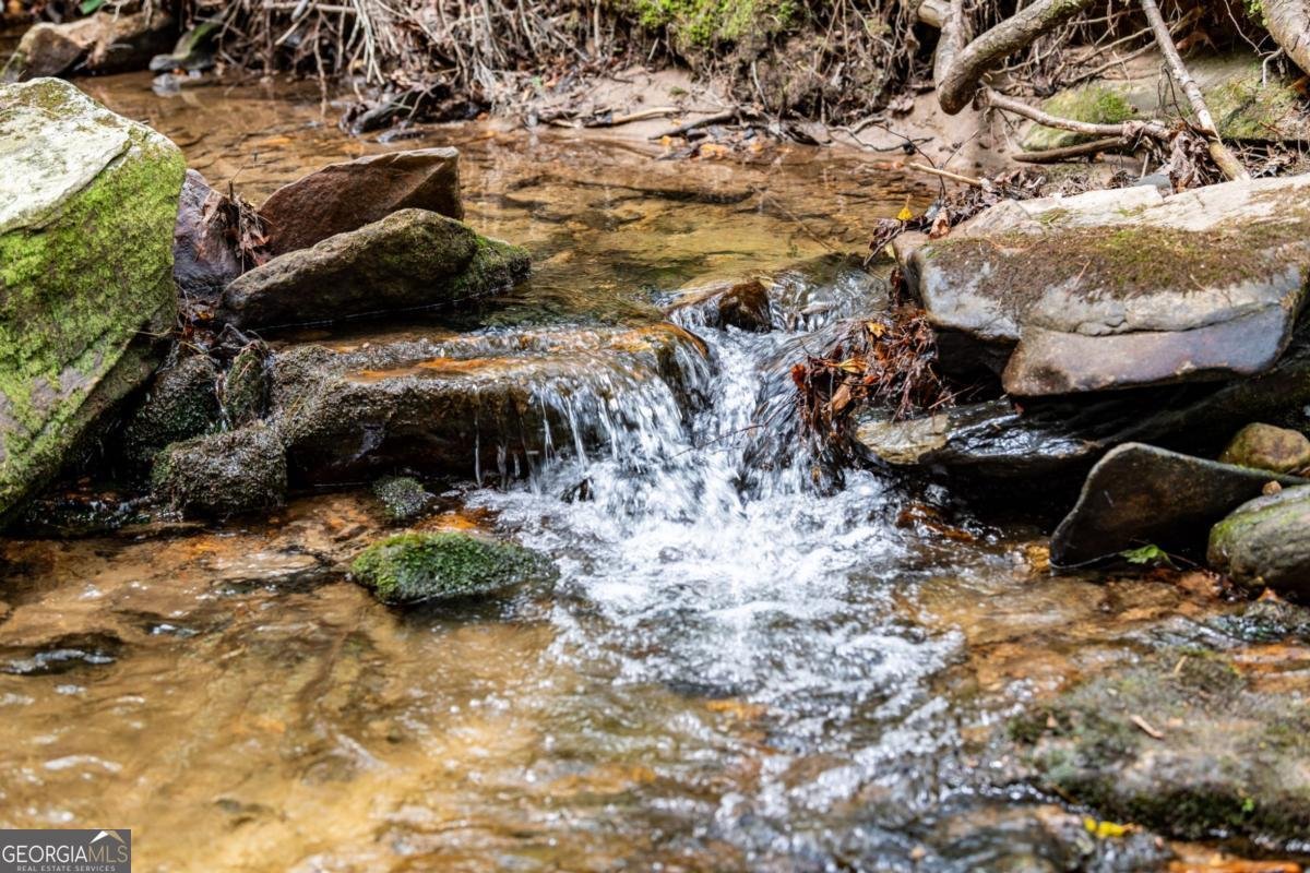 245 Old Anderson Creek Ellijay - Photo 57
