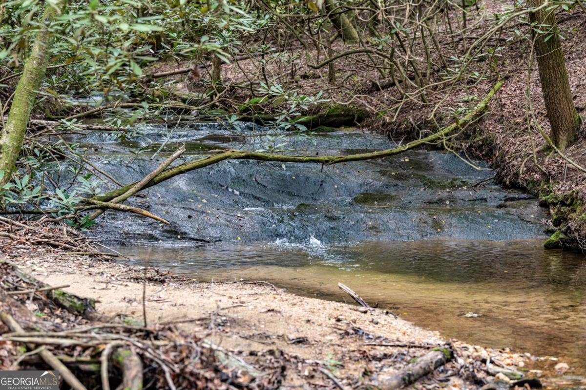 245 Old Anderson Creek Ellijay - Photo 58