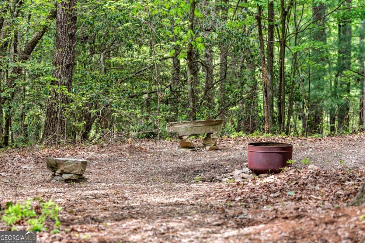 245 Old Anderson Creek Ellijay - Photo 62