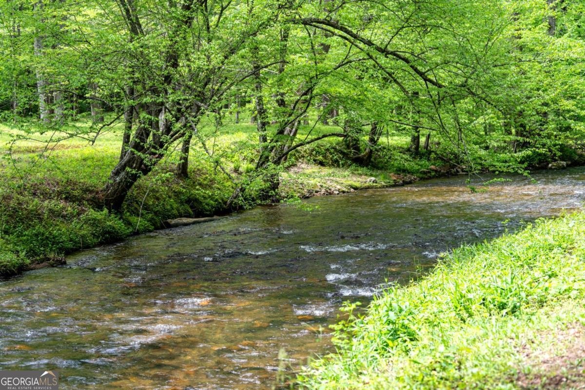 245 Old Anderson Creek Ellijay - Photo 68
