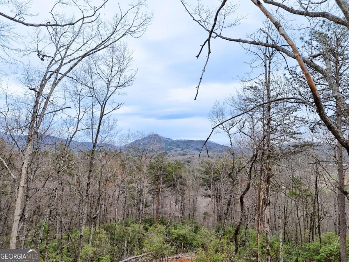 441 Summer Ln Clayton - Photo 67