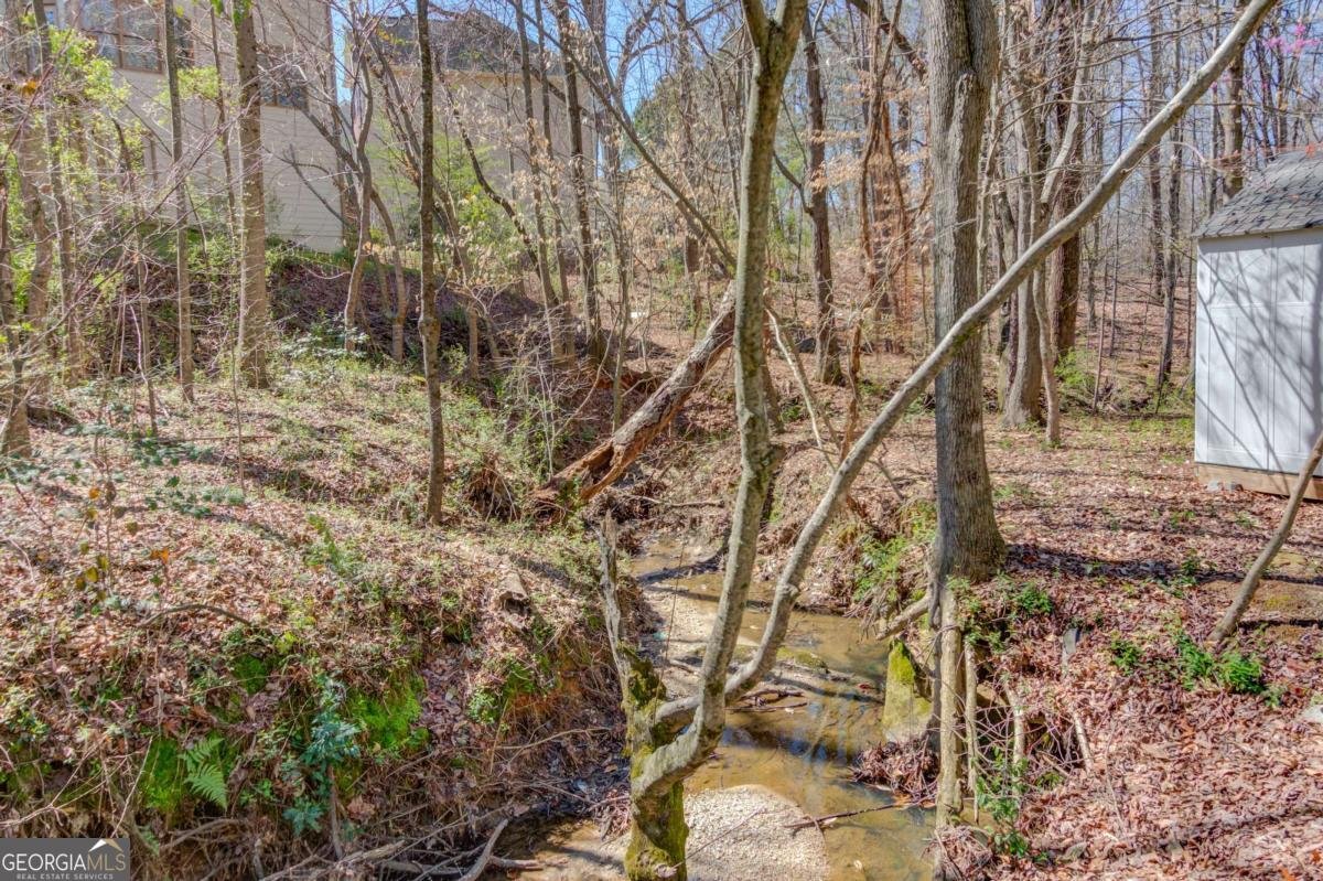 2714 Reflection Drive Buford - Photo 64