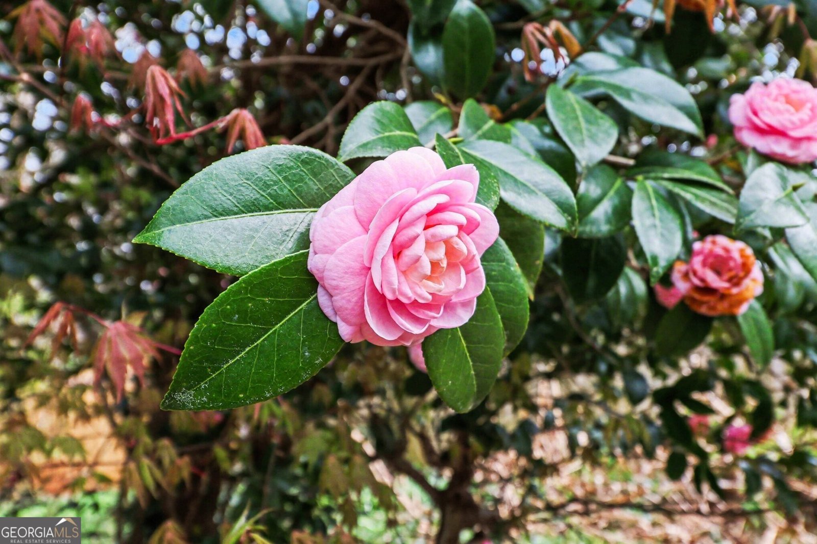 2815 Indian Trail Drive Tucker - Photo 24