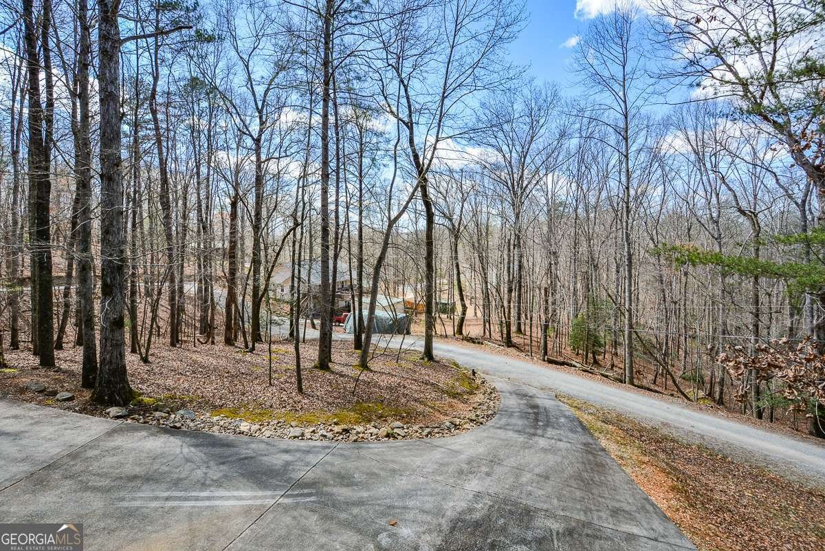 50 Rockingham Way Ellijay - Photo 35