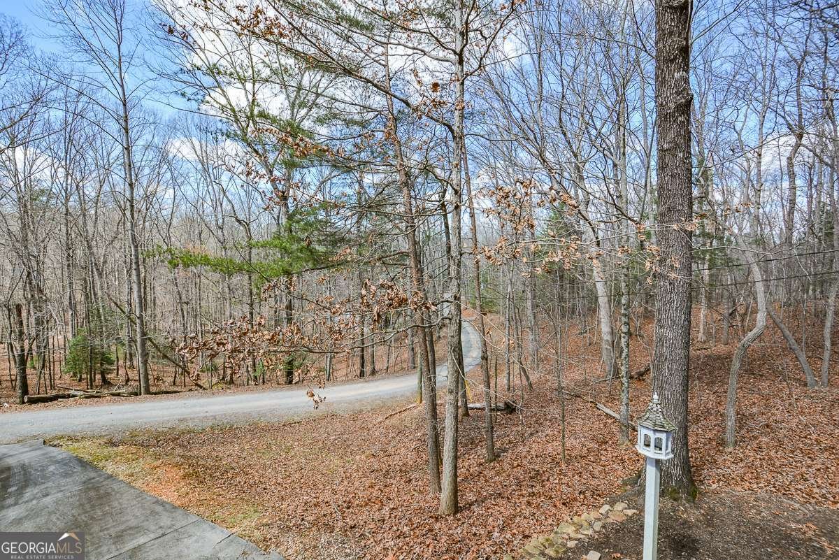 50 Rockingham Way Ellijay - Photo 36