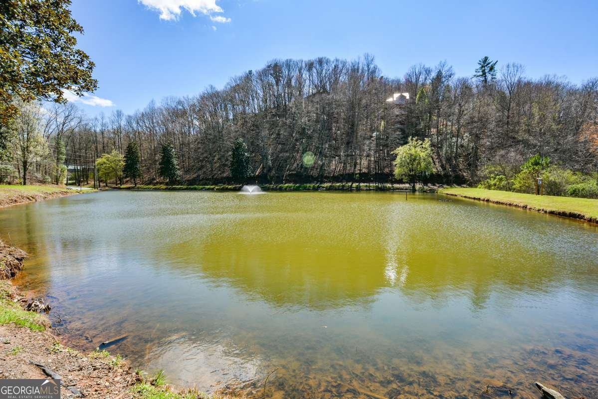 50 Rockingham Way Ellijay - Photo 42