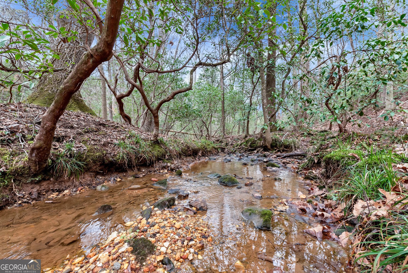 353 Broken Arrow Trail Dahlonega - Photo 36