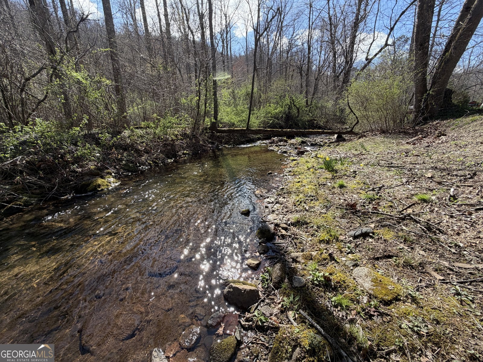 1162 Blacks Creek Drive Clayton - Photo 32