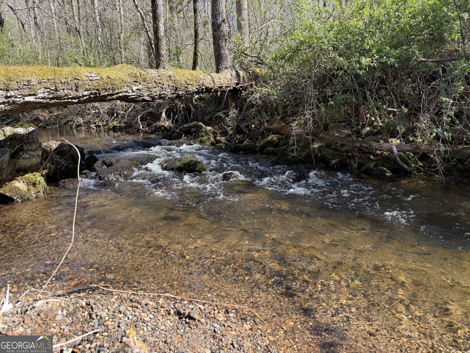 1162 Blacks Creek Drive Clayton - Photo 33