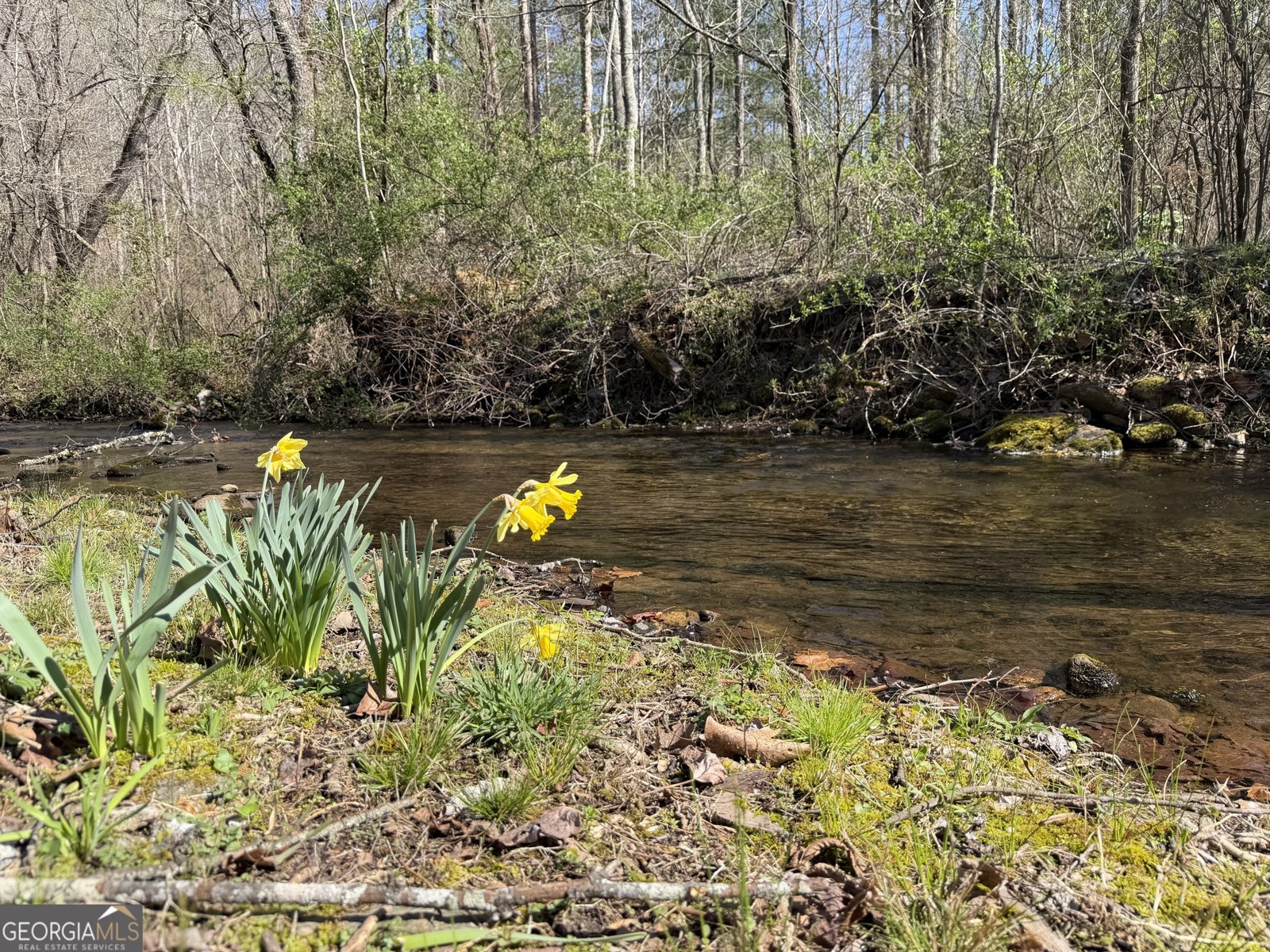 1162 Blacks Creek Drive Clayton - Photo 34