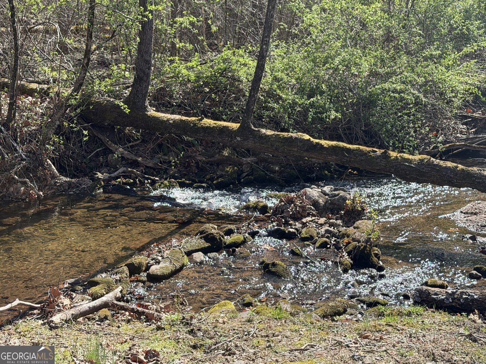 1162 Blacks Creek Drive Clayton - Photo 38