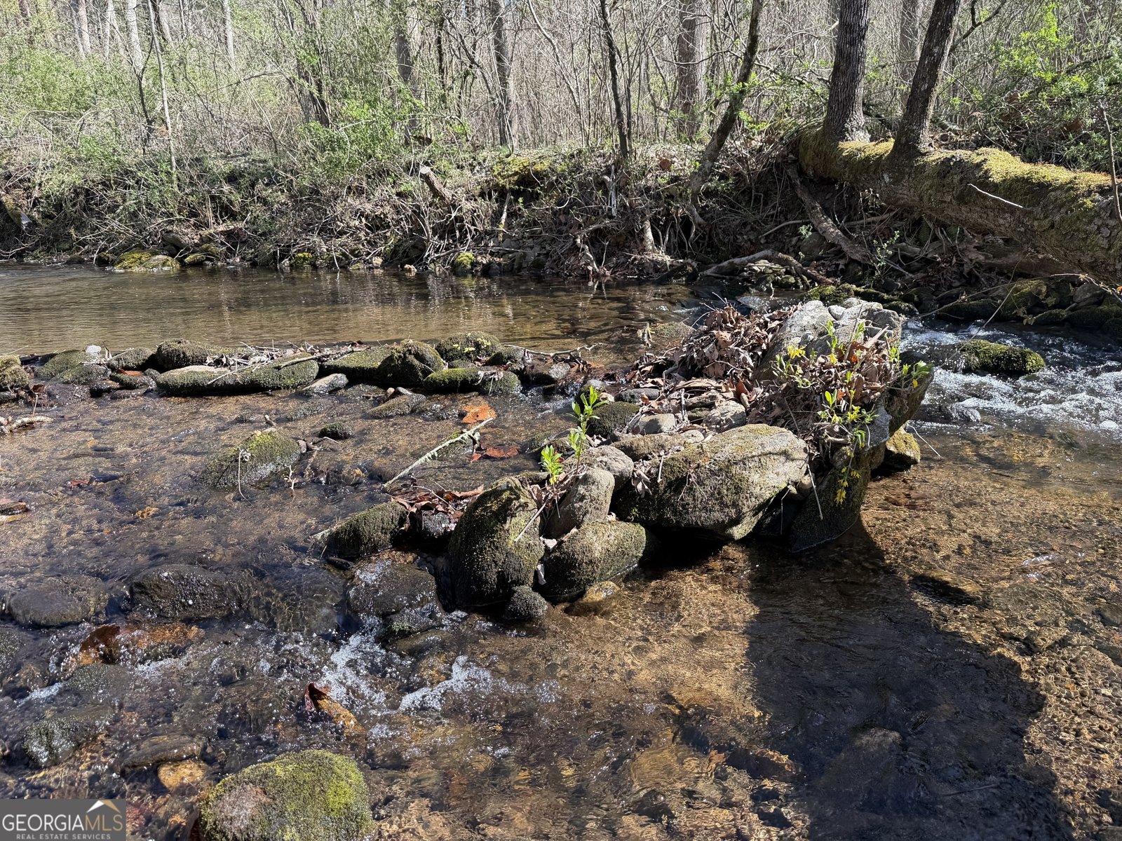 1162 Blacks Creek Drive Clayton - Photo 6