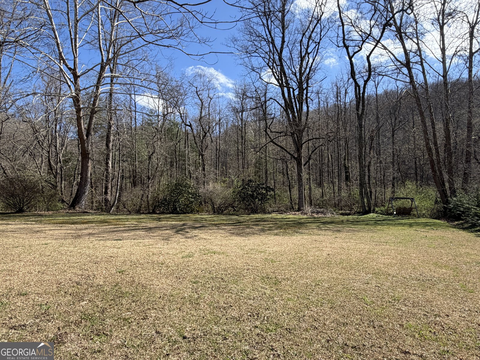 1162 Blacks Creek Drive Clayton - Photo 7