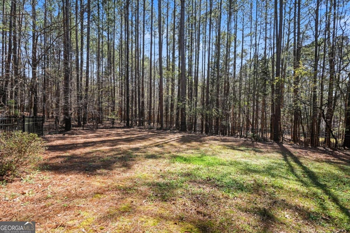 1101 Spring Valley Way Bishop - Photo 40