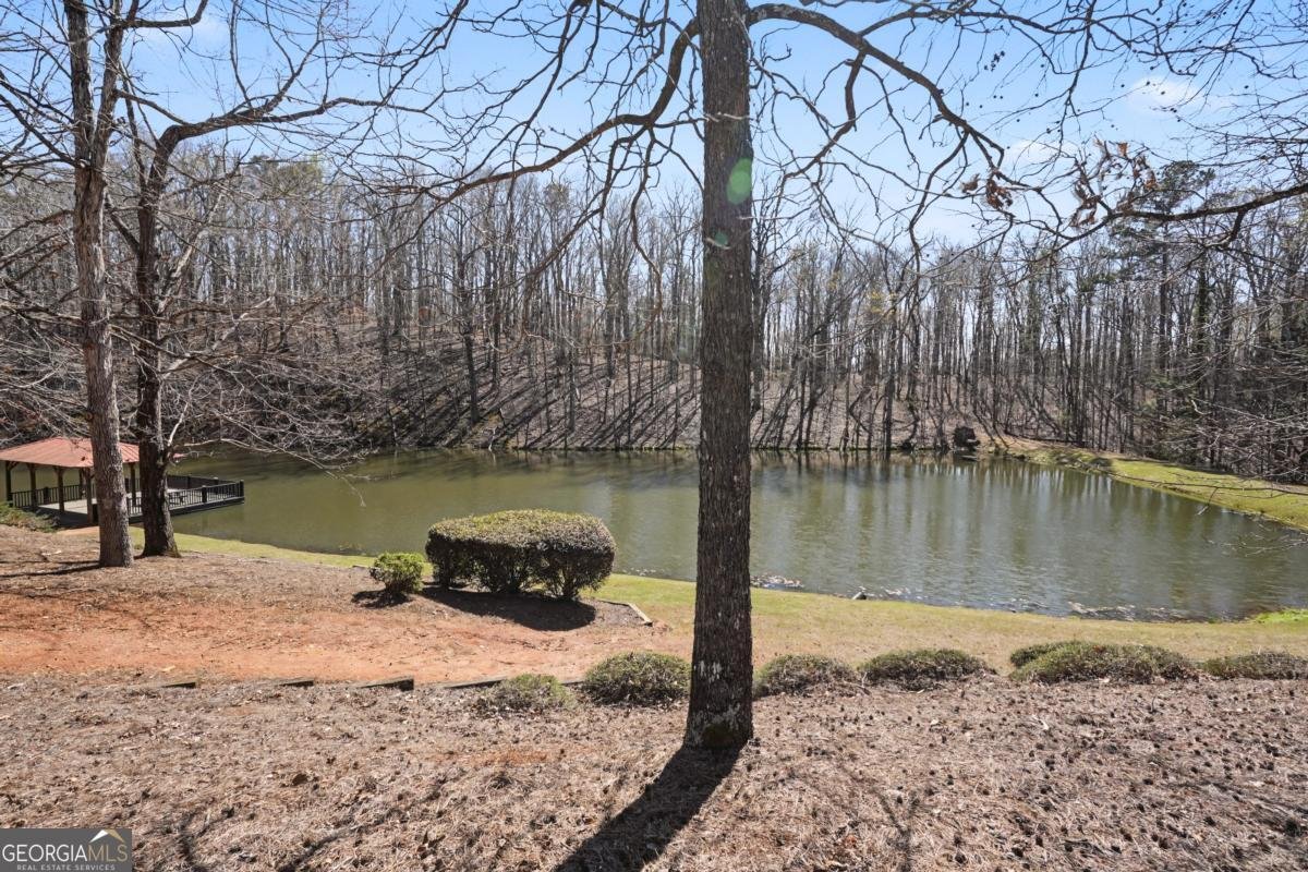 1101 Spring Valley Way Bishop - Photo 51