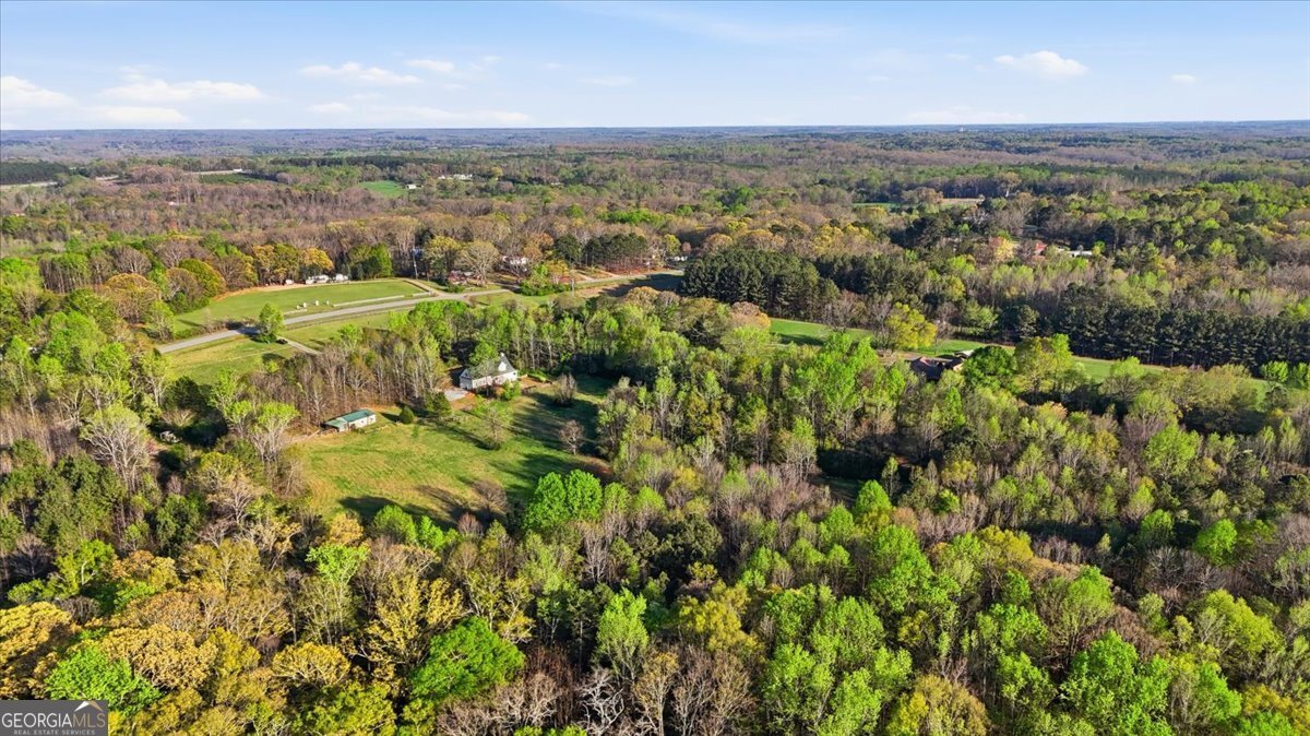 1192 Old Kings Bridge Road Nicholson - Photo 51