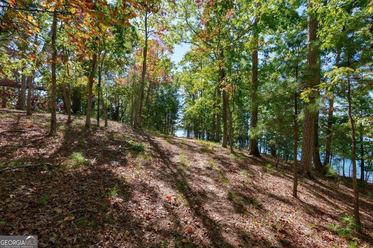 6655 Sweetwater Point Flowery Branch - Photo 68