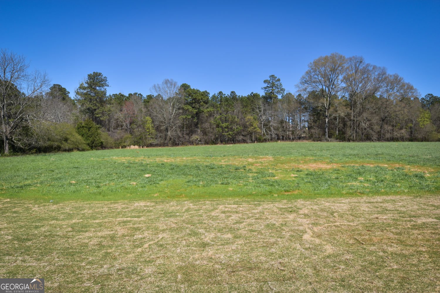 1825 Andora Court Bishop - Photo 7