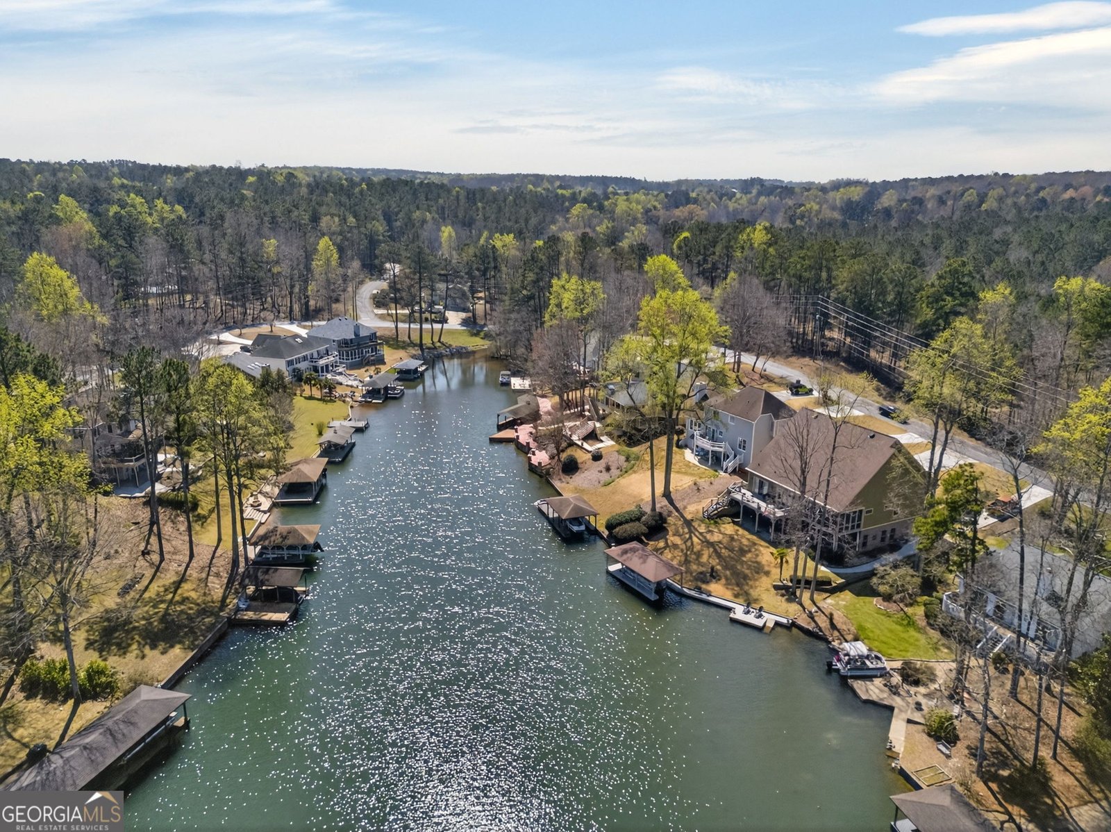 10003 Lakeview Parkway Villa Rica - Photo 63