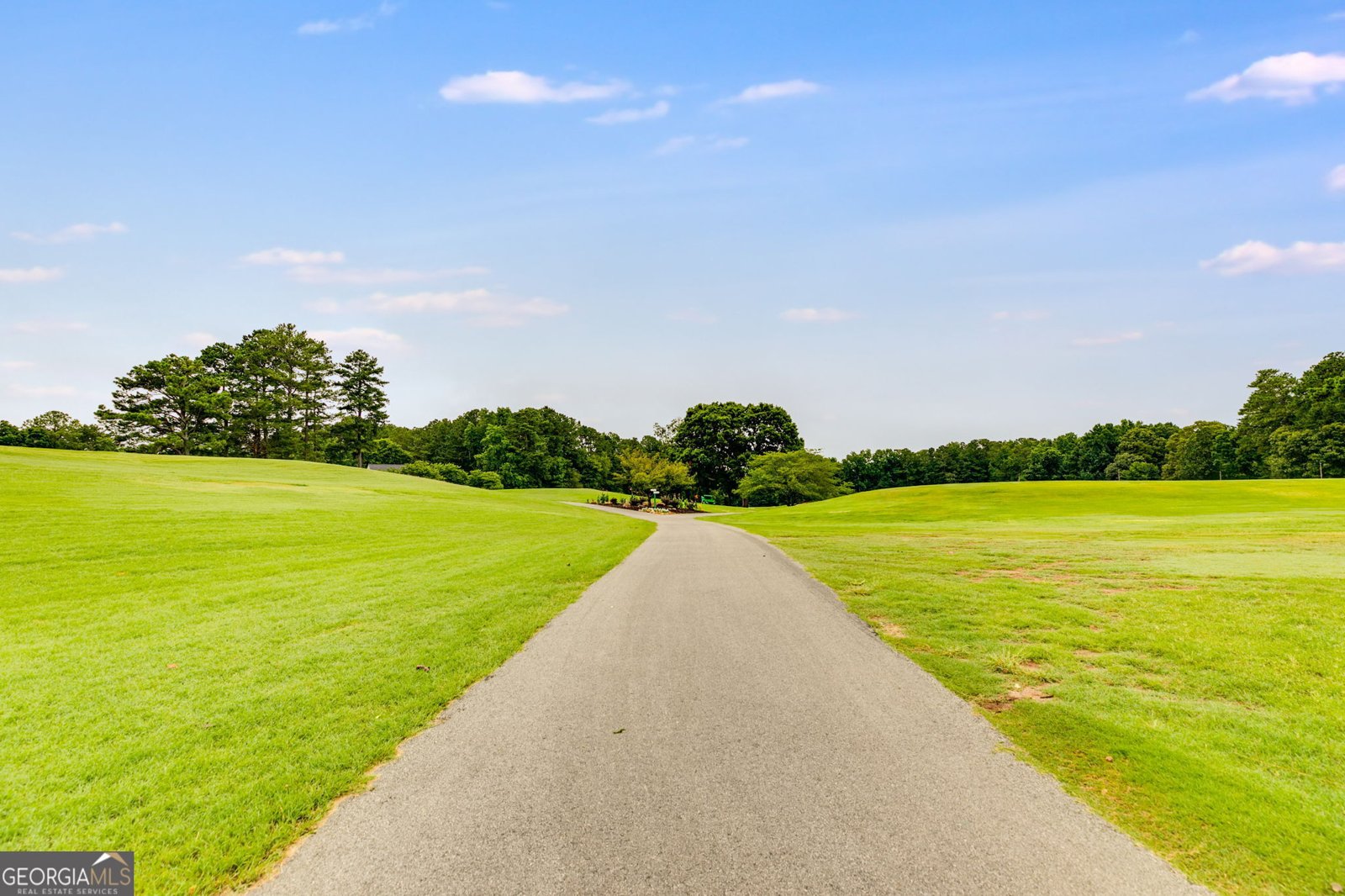 10003 Lakeview Parkway Villa Rica - Photo 83