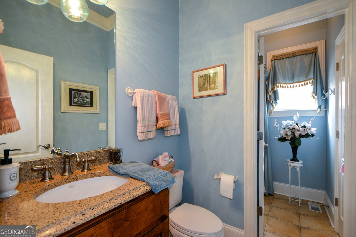 3435 HIDDEN SHOALS Road Buford - Photo 14