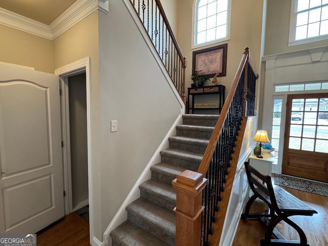 1617 Trilogy Park Drive Hoschton - Photo 44