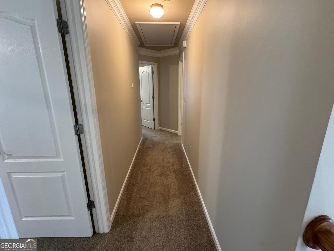 1617 Trilogy Park Drive Hoschton - Photo 54