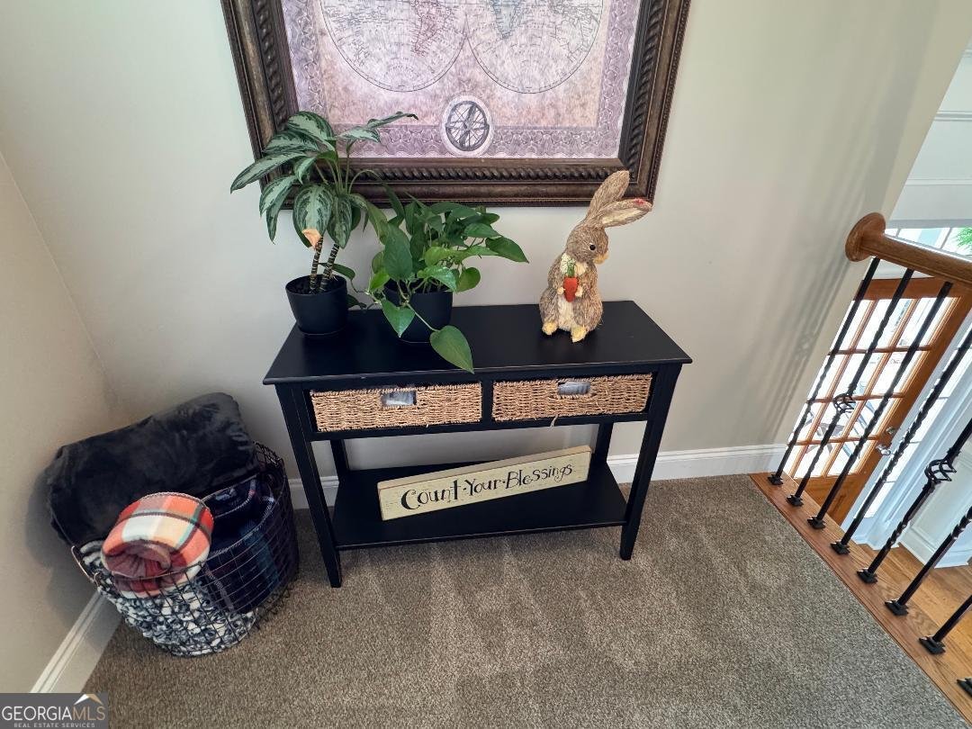 1617 Trilogy Park Drive Hoschton - Photo 75