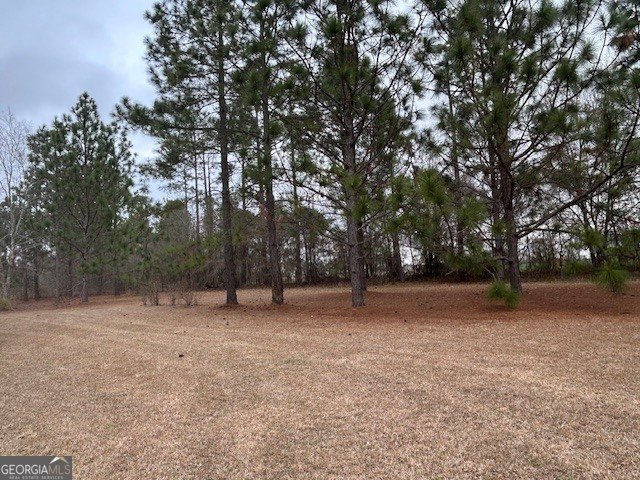 188 John Jarriel Road Collins - Photo 6