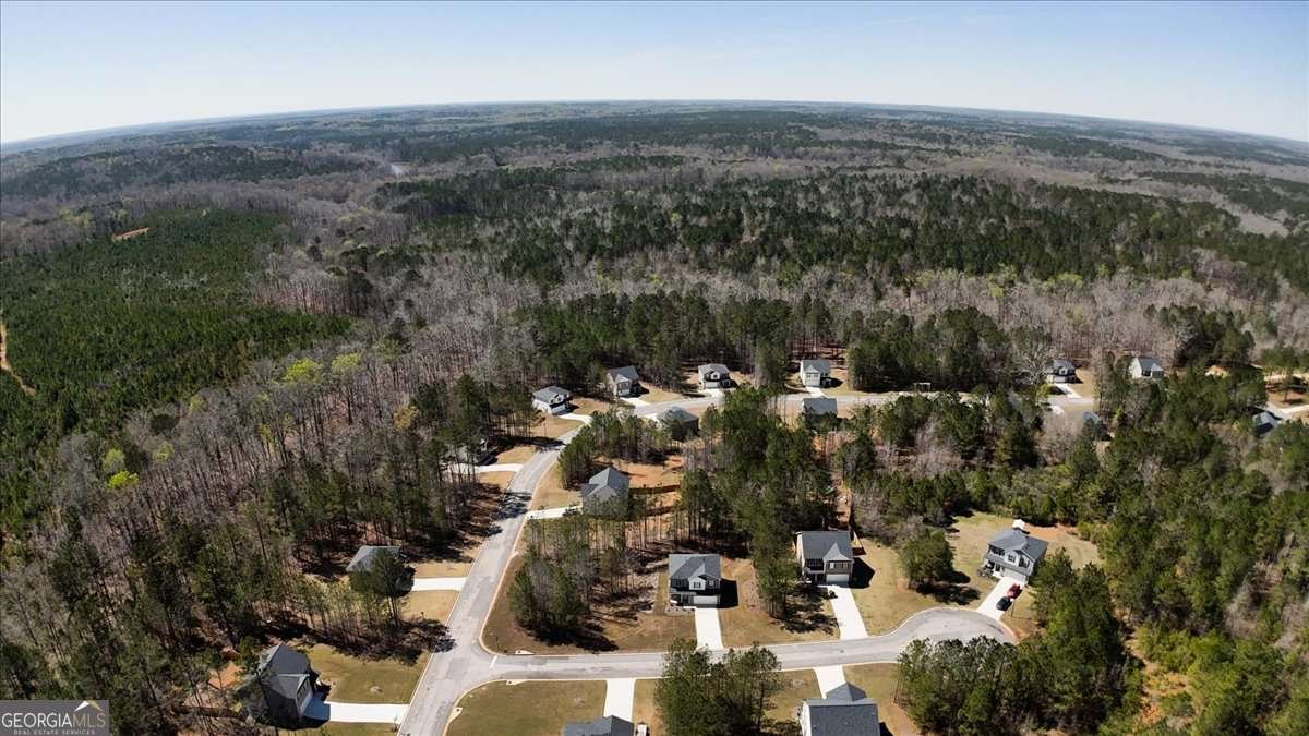 15 Fontana Court Covington - Photo 42