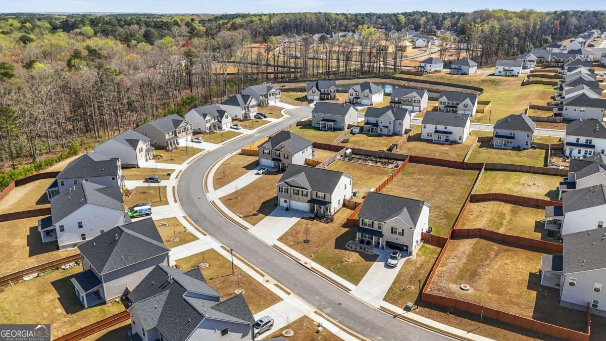 458 Blue Juniper Circle Loganville - Photo 56