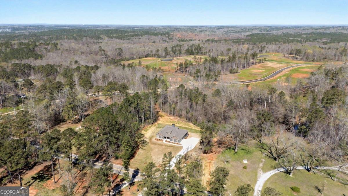 1861 Smokey Road Newnan - Photo 45