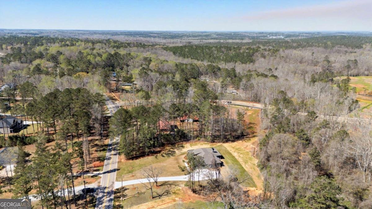 1861 Smokey Road Newnan - Photo 46