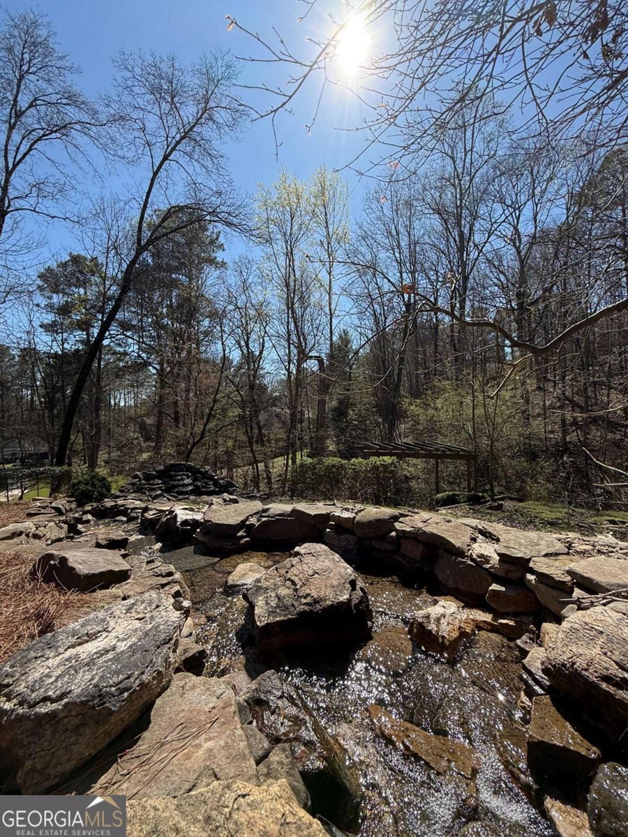 7300 Chattahoochee Bluff Drive Atlanta - Photo 23