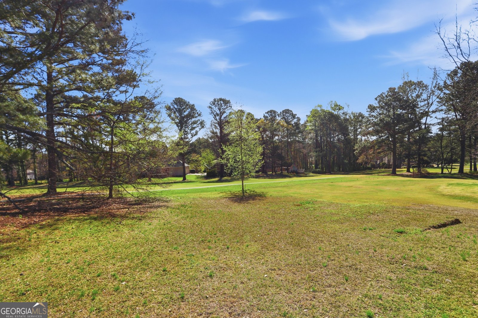 11 The Meadows Drive Newnan - Photo 19