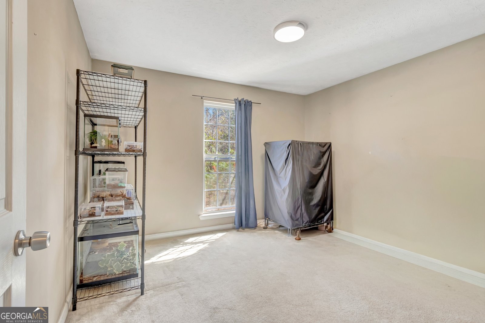 1136 County Line Church Road Warm Springs - Photo 22