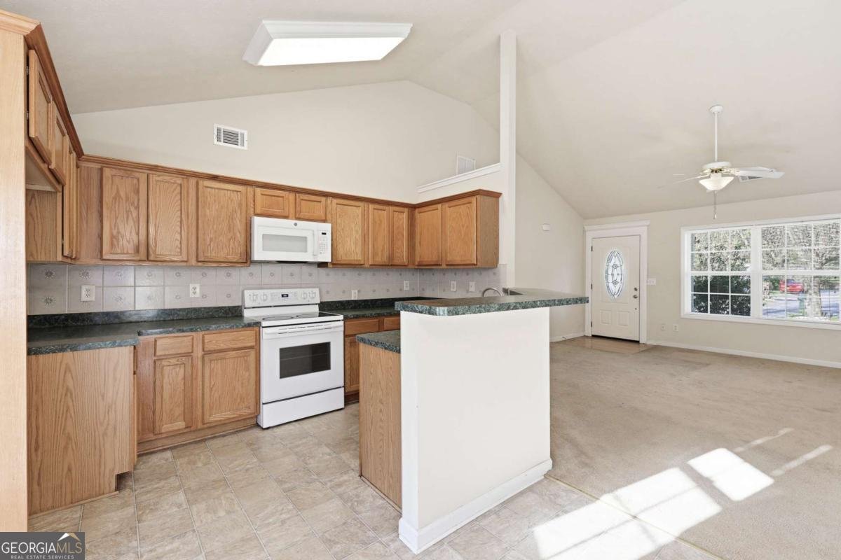 3001 River Birch Lane Gainesville - Photo 13