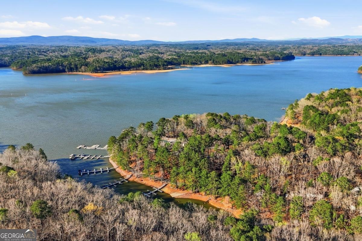 914 BridgeMill Avenue Canton - Photo 42