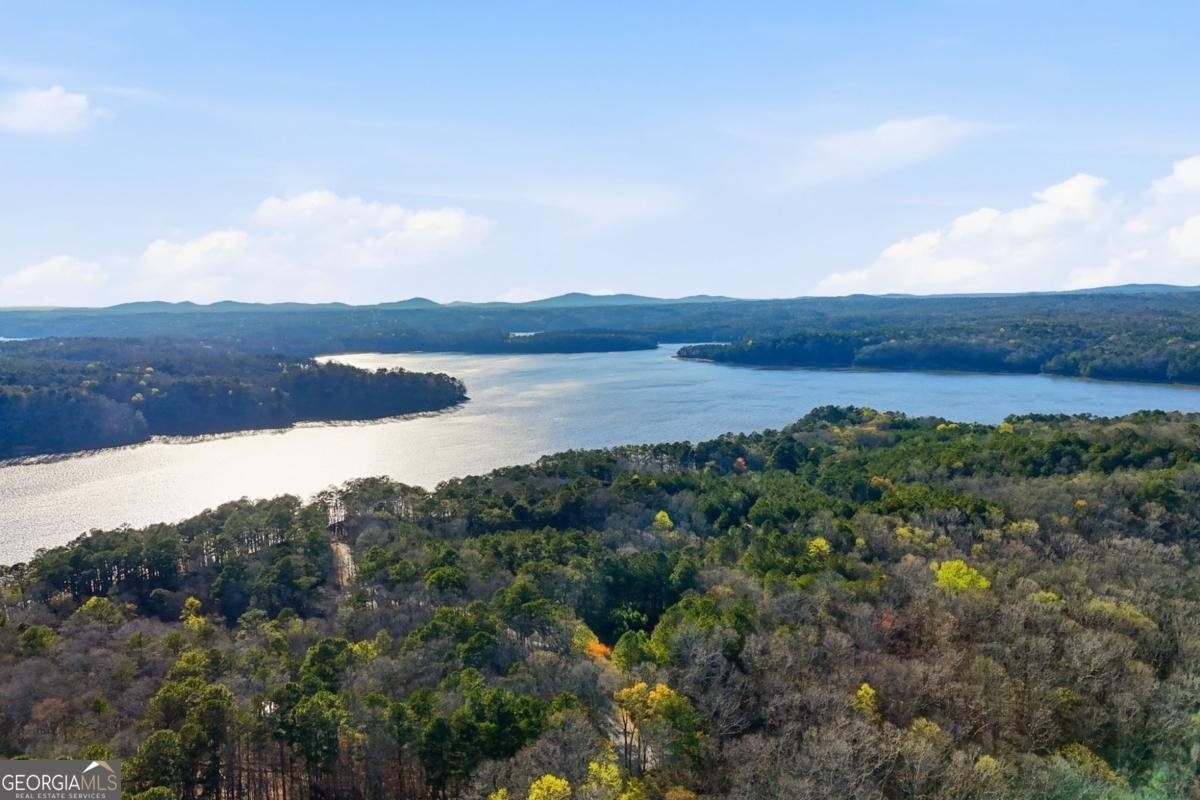 914 BridgeMill Avenue Canton - Photo 43