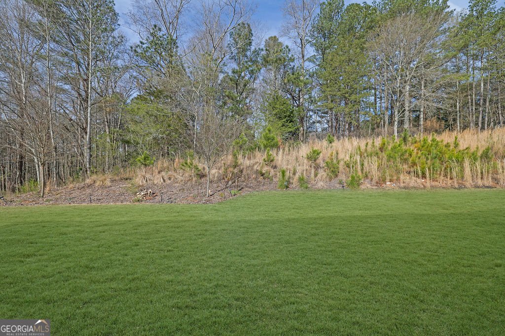 2865 Ferncliff Street Cumming - Photo 39