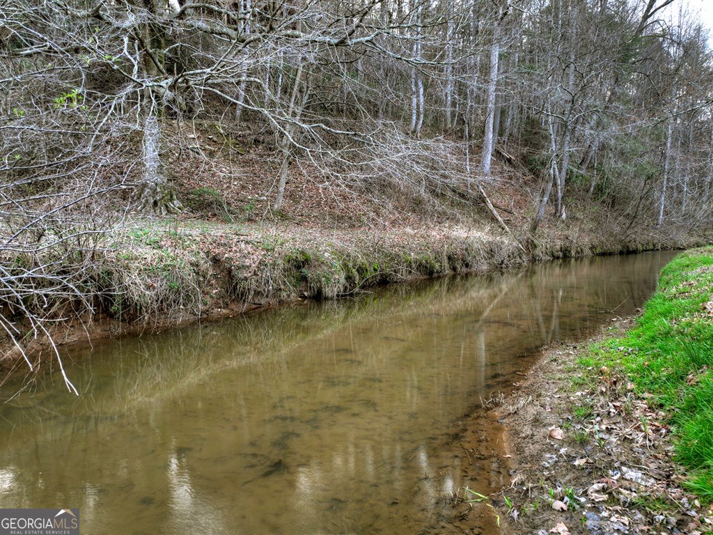 416 Dustin Drive Ellijay - Photo 45