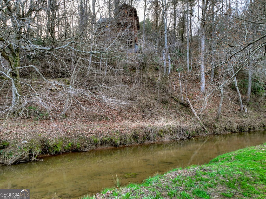 416 Dustin Drive Ellijay - Photo 47