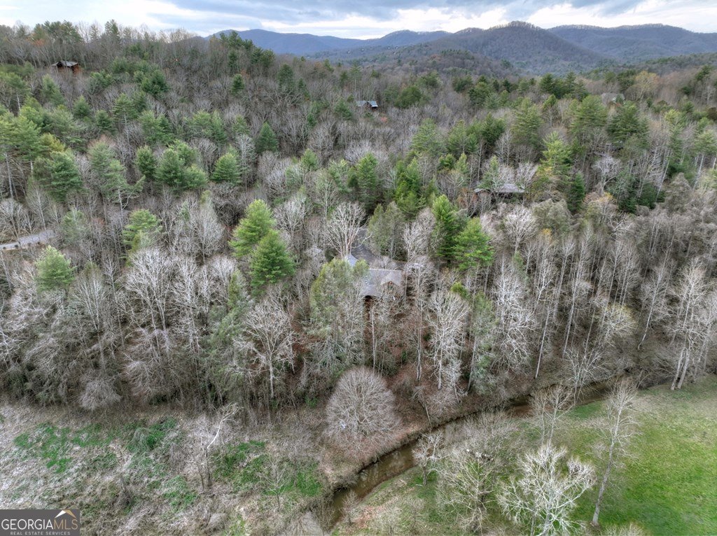 416 Dustin Drive Ellijay - Photo 55