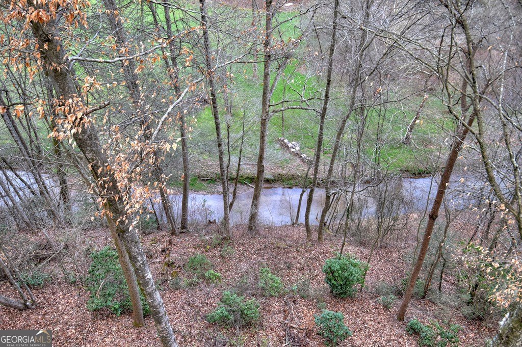 416 Dustin Drive Ellijay - Photo 57