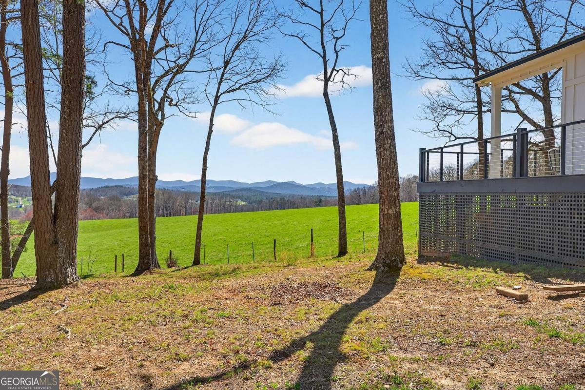 35 Laurel Mountain Estates Drive N Blairsville - Photo 35
