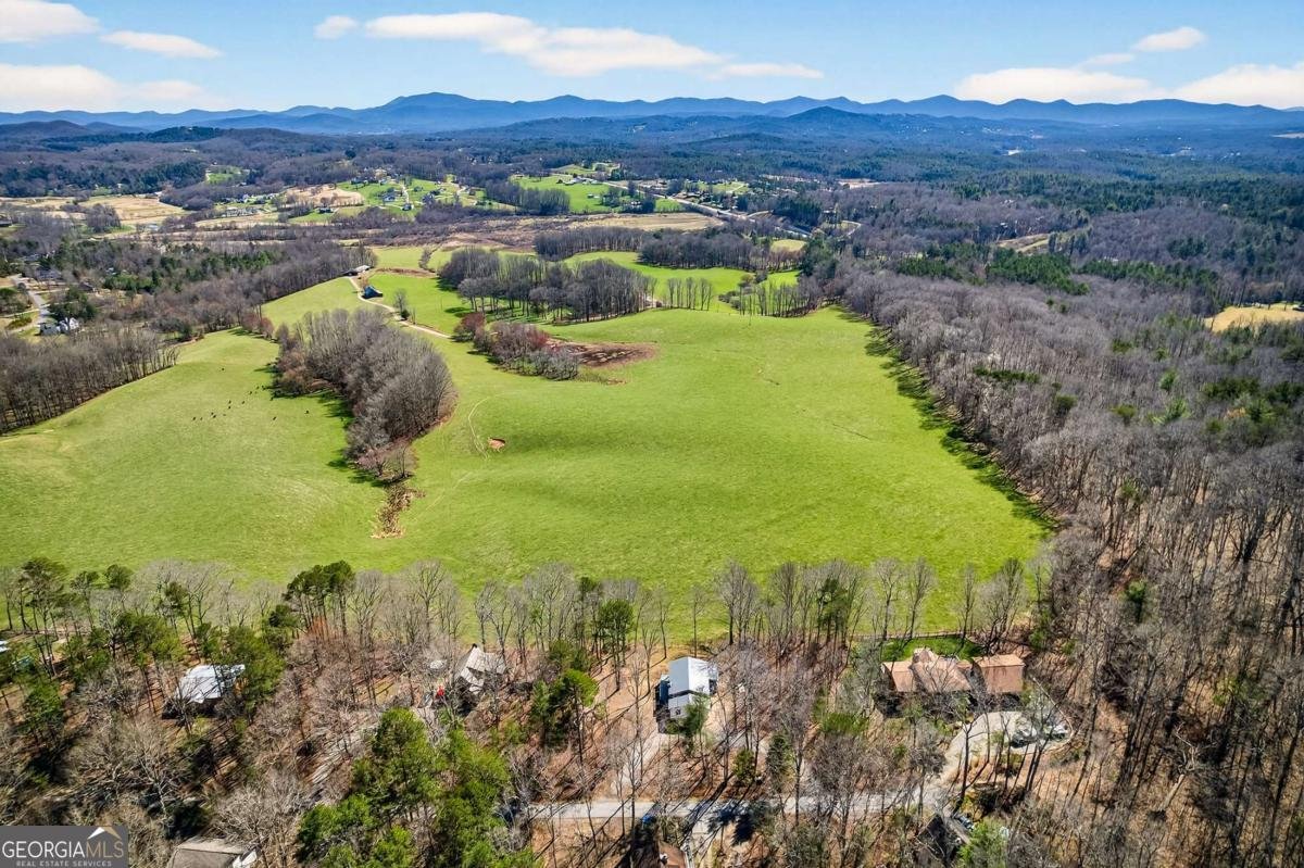 35 Laurel Mountain Estates Drive N Blairsville - Photo 36