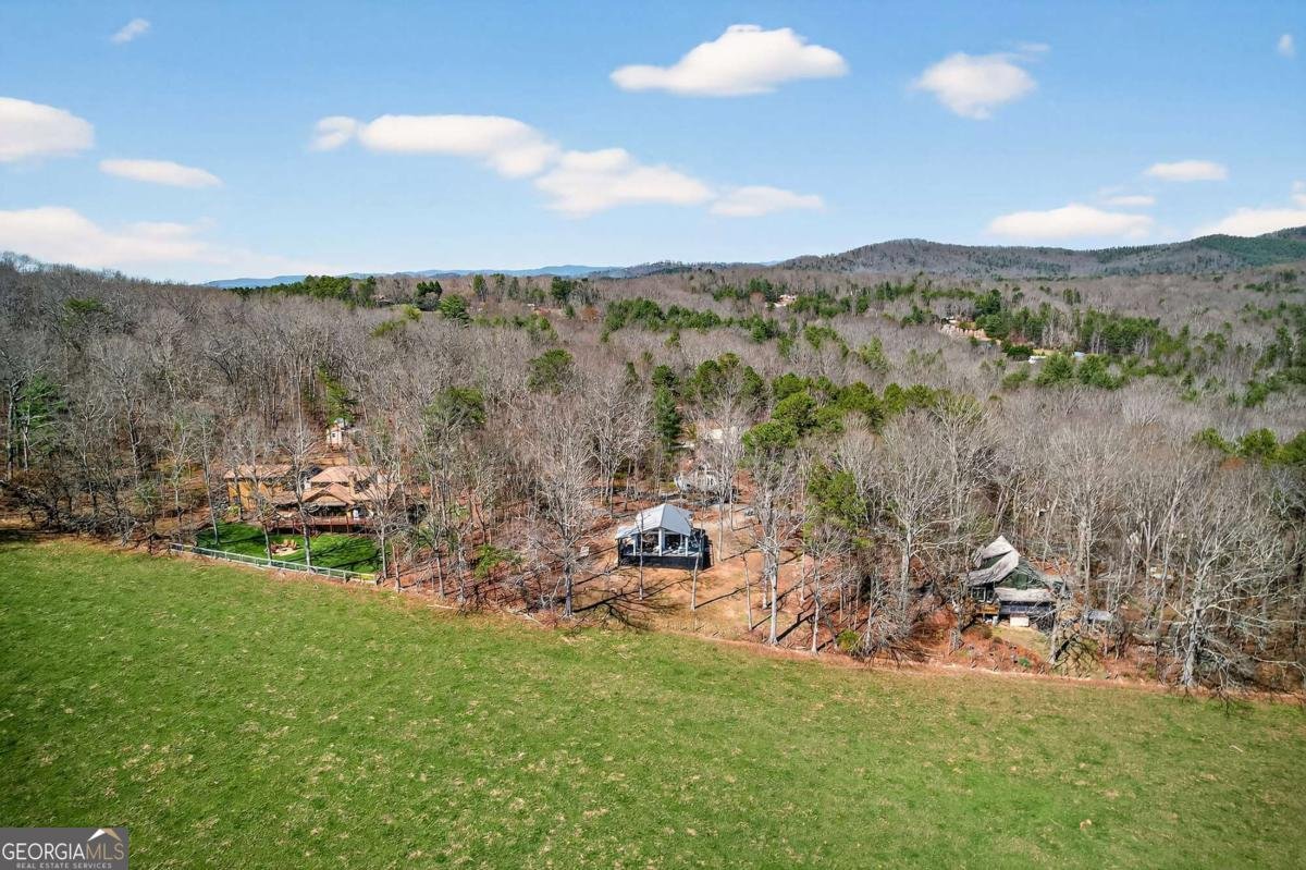 35 Laurel Mountain Estates Drive N Blairsville - Photo 37