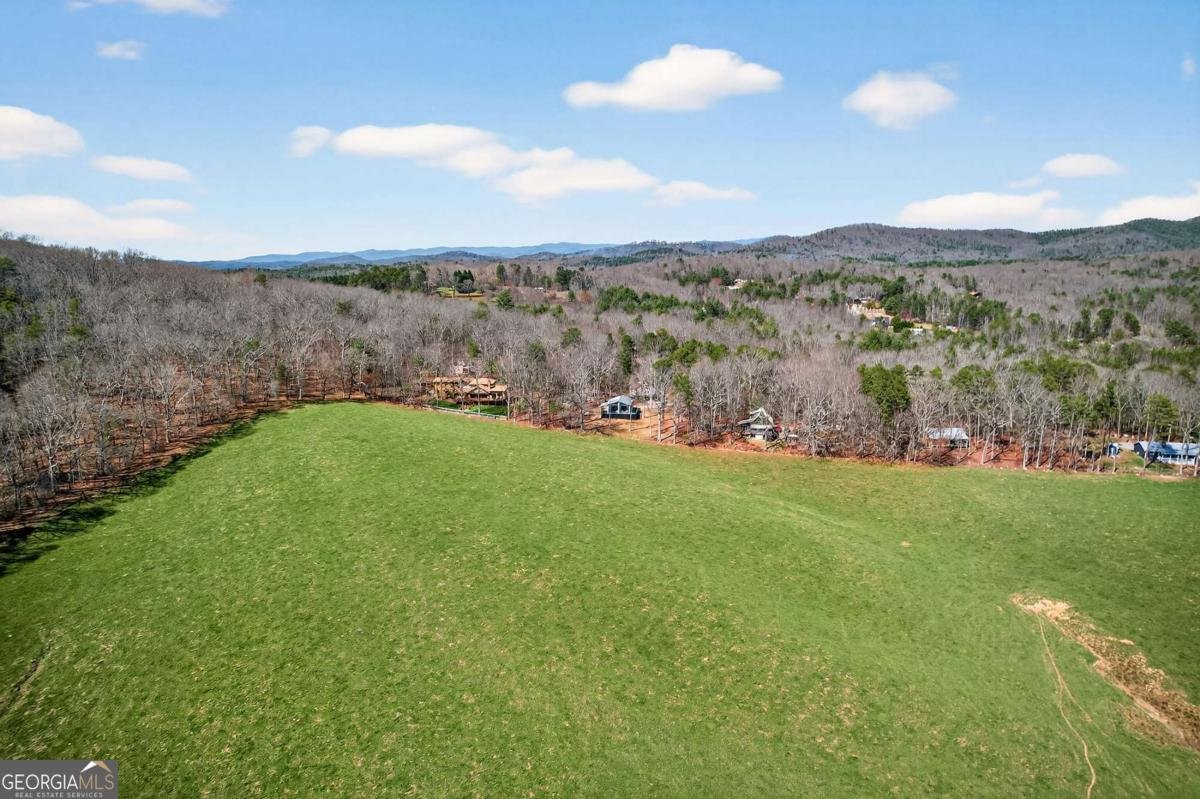 35 Laurel Mountain Estates Drive N Blairsville - Photo 38